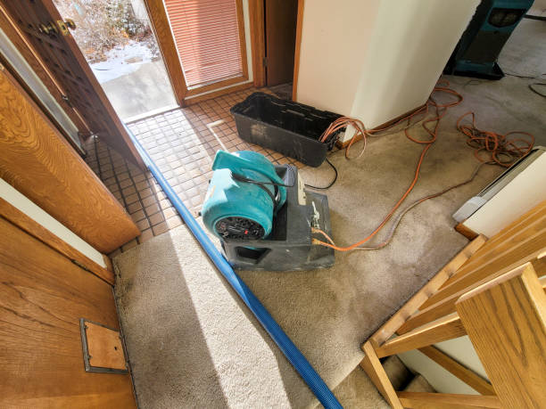 Best Sewage cleanup and water damage restoration  in Gregory, TX