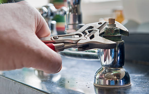 Best Flood damage cleanup  in Gregory, TX