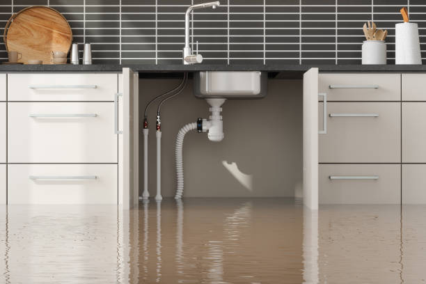 Best Residential water damage restoration  in Gregory, TX
